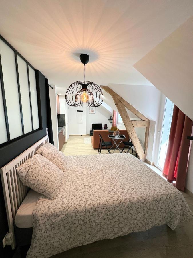 Sacre Appartement/Jardin/Parking/Wifi Rodez Exterior photo